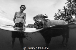 'Farmer and bull'. Dumaguete, Philippines.
—
Subal unde... by Terry Steeley 